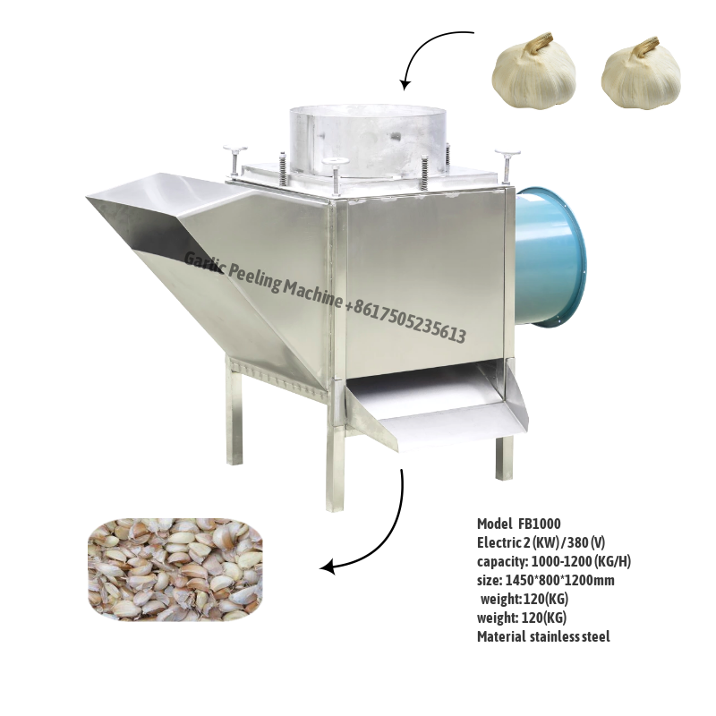 Garlic Separator Machine