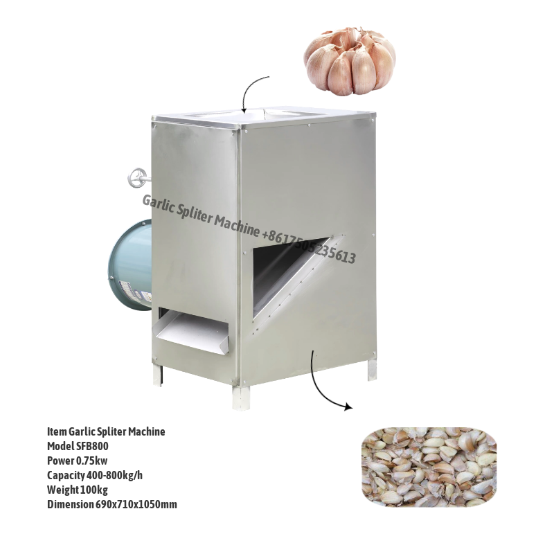 Automatic Garlic Splitter Machine Garlic valve separating machine / garlic  separator