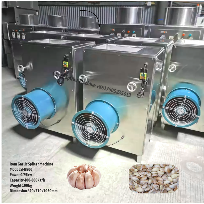 Garlic Separating Machine