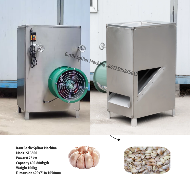 Garlic Separating Machine