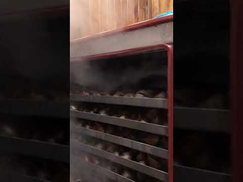 Commercial Black Garlic Machine