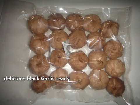 Black garlic making machine-garlic fermentation machine-black garlic  fermenter box – WM machinery