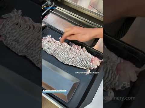 Saveing labar Electric Salami Slicer like a Human Chef Automatic Fish – WM  machinery