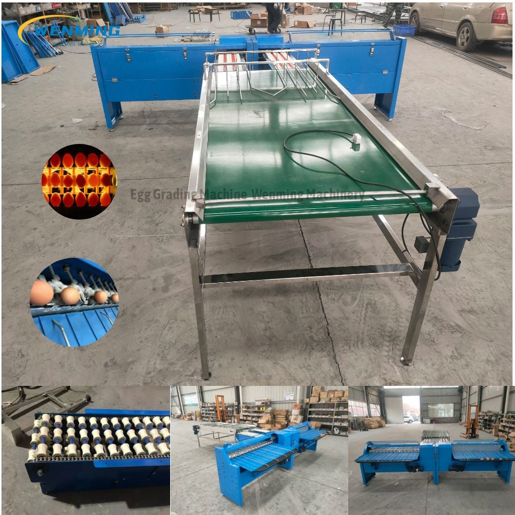 Egg Grading Machine