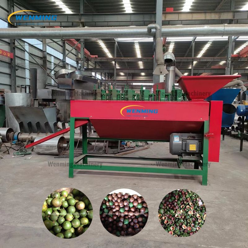 Macadamia Shelling Machine